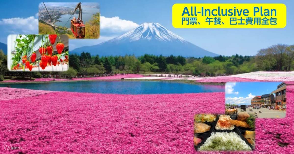 Mt. Fuji Flower Festival & Ropeway & Fruit Picking Tour from